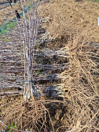 우리농원님의 자유주제 · 자유게시판 작성글 사진