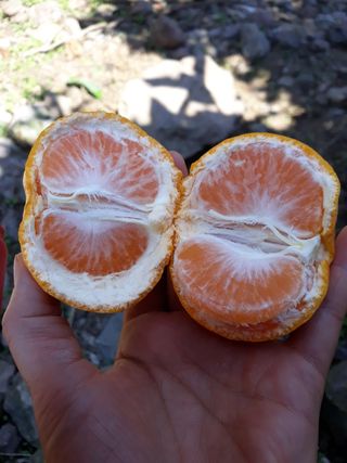 양애숙님의 작성글 사진