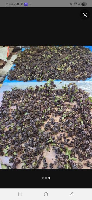 김재희님의 자유주제 · 자유게시판 작성글 사진