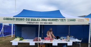 손윤영/수채화농원님의 자유주제 · 자유게시판 작성글 사진