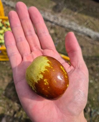 우리농원님의 자유주제 · 자유게시판 작성글 사진