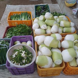 삼성농산님의 자유주제 · 자유게시판 작성글 사진