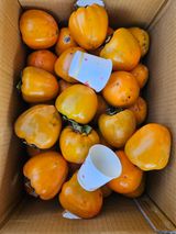 팜모닝 · 게시글 이미지