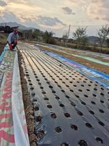 팜모닝 자유주제·자유게시판 게시글 이미지