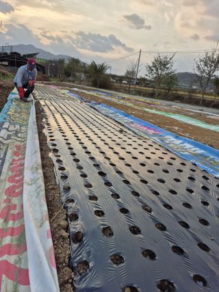 마늘16716님의 자유주제 · 자유게시판 작성글 사진