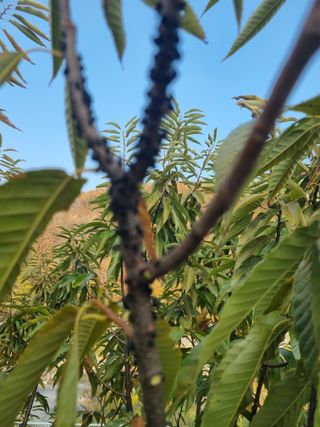 김용대님의 자유주제 · 자유게시판 작성글 사진