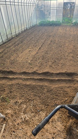 박정희 님의 자유주제 · 자유게시판 작성글 사진