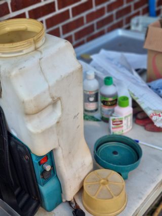 김용대님의 자유주제 · 자유게시판 작성글 사진