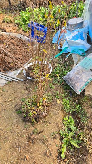 박정희 님의 자유주제 · 자유게시판 작성글 사진