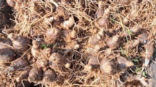 이정운님의 자유주제 · 자유게시판 작성글 사진