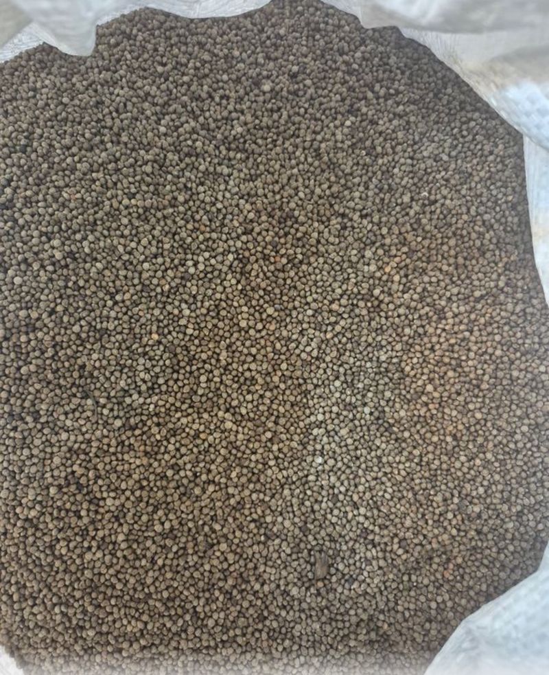 장터 상품 [6키로] 썸네일