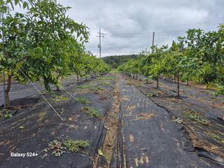 전홍열님의 자유주제 · 자유게시판 작성글 사진
