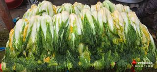 달맛햇복숭아농원님의 자유주제 · 자유게시판 작성글 사진