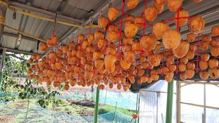 bpjh9173님의 자유주제 · 자유게시판 작성글 사진