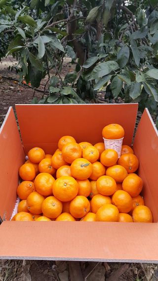 양애숙님의 작성글 사진