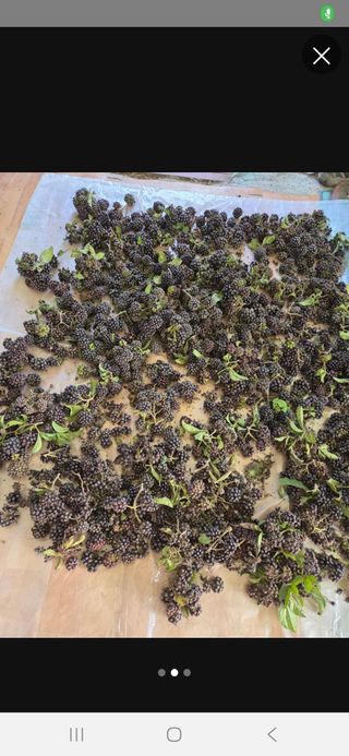 김재희님의 자유주제 · 자유게시판 작성글 사진