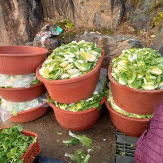 삼성농산님의 자유주제 · 자유게시판 작성글 사진