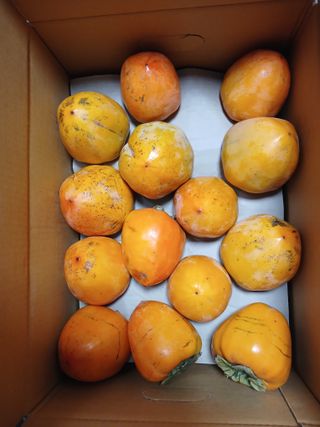 상원(尙沅)님의 자유주제 · 칭찬해요 작성글 사진