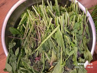 달맛햇복숭아농원님의 자유주제 · 자유게시판 작성글 사진