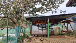 bpjh9173님의 자유주제 · 자유게시판 작성글 사진