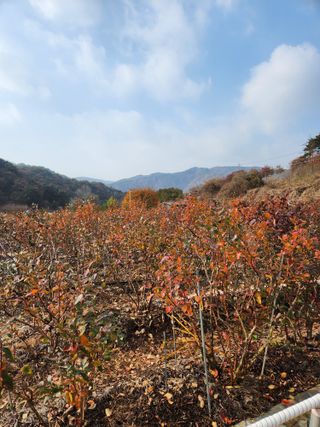 임용관님의 자유주제 · 자유게시판 작성글 사진