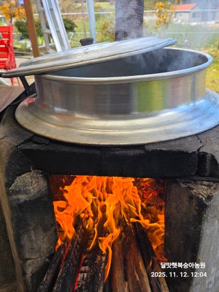 달맛햇복숭아농원님의 자유주제 · 자유게시판 작성글 사진