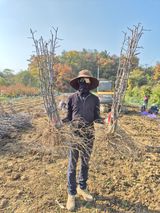 팜모닝 자유주제·자유게시판 게시글 이미지