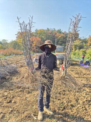 우리농원님의 자유주제 · 자유게시판 작성글 사진