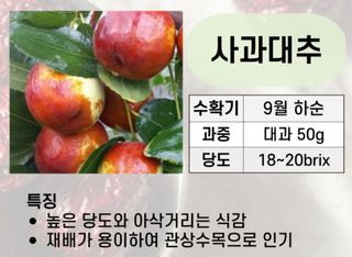 우리농원님의 자유주제 · 자유게시판 작성글 사진