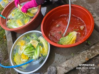 달맛햇복숭아농원님의 자유주제 · 자유게시판 작성글 사진