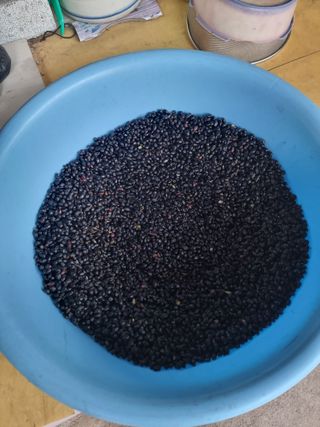 정석범님의 작성글 사진