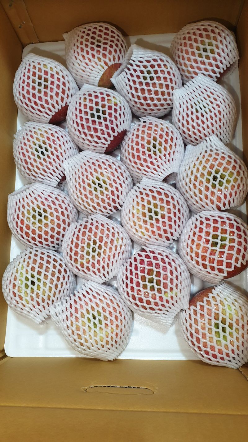 백두농원님의 장터 판매 상품 [봉화사과 10키로] 첨부 사진