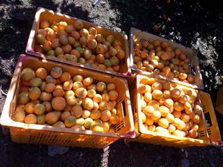 양애숙님의 작성글 사진