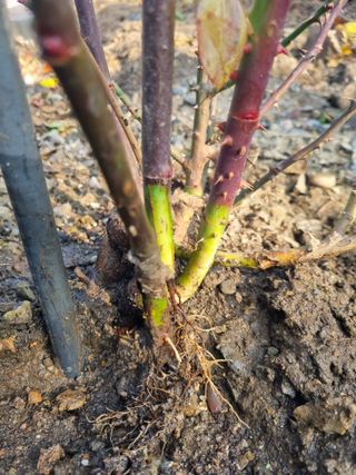 김용대님의 자유주제 · 자유게시판 작성글 사진