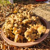 팜모닝 · 게시글 이미지