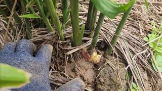 조새힘님의 작성글 사진