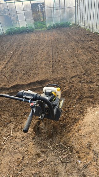 박정희 님의 자유주제 · 자유게시판 작성글 사진