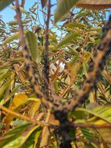 팜모닝 자유주제·자유게시판 게시글 이미지