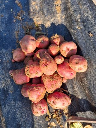 유영옥님의 자유주제 · 자유게시판 작성글 사진