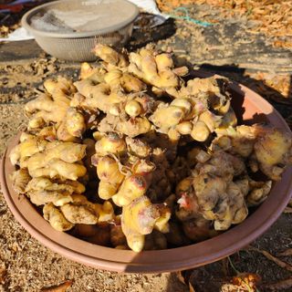 조새힘님의 작성글 사진