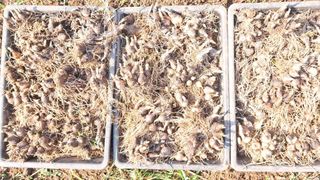 이정운님의 자유주제 · 자유게시판 작성글 사진