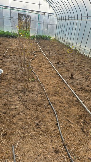 박정희 님의 자유주제 · 자유게시판 작성글 사진