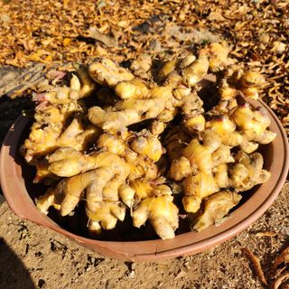 조새힘님의 작성글 사진