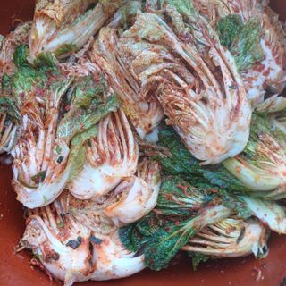 삼성농산님의 자유주제 · 자유게시판 작성글 사진