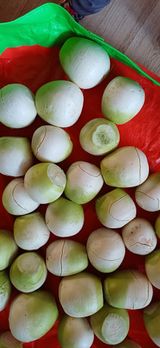 팜모닝 자유주제·자유게시판 게시글 이미지