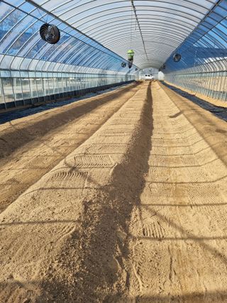 조은아침농원님의 자유주제 · 자유게시판 작성글 사진