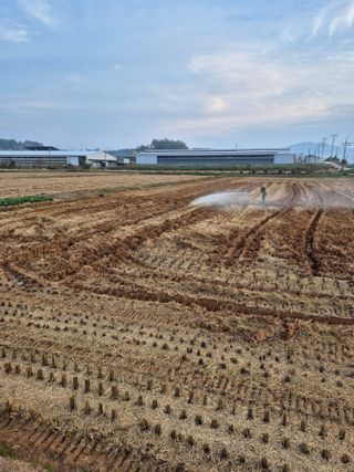 김영진(전남영광)님의 자유주제 · 자유게시판 작성글 사진
