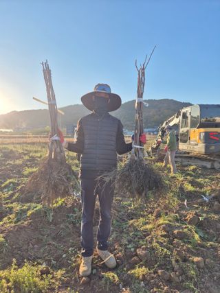 우리농원님의 자유주제 · 자유게시판 작성글 사진