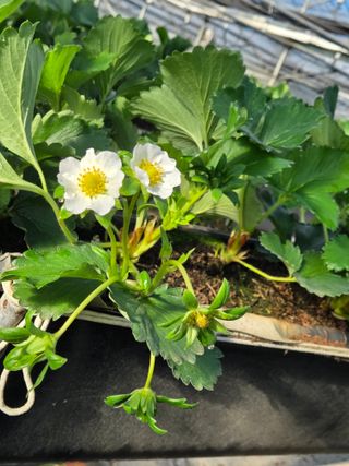 안성화님의 자유주제 · 자유게시판 작성글 사진