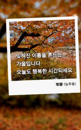 팜모닝 자유주제·사진전 게시글 이미지